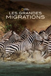 دانلود مستند Great Migrations417146-1603153985