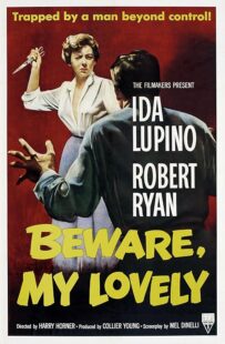 دانلود فیلم Beware, My Lovely 1952420627-1364452903