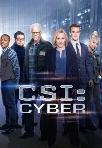 دانلود سریال CSI: Cyber428329-1045500380