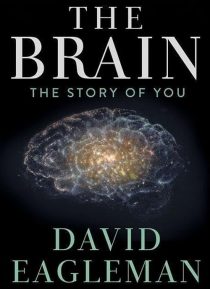 دانلود سریال The Brain with Dr. David Eagleman428613-583978422