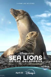 دانلود مستند Sea Lions of the Galapagos 2025431056-90977074
